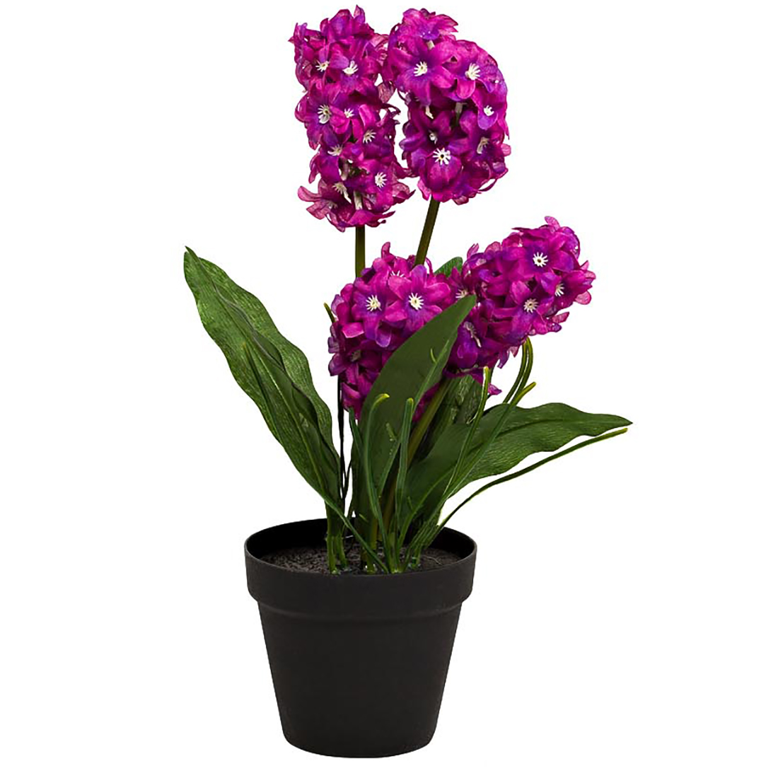 Фото Горшечных Цветов