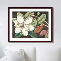 картина: beauty bloom №1, 1732г. в Москве
