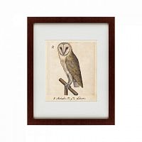 картина: one owl, 1560 в Москве