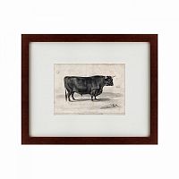 картина: a west highland bull, 1840 в Москве