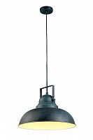 подвесной светильник arte lamp martin a5213sp-1bg в Москве