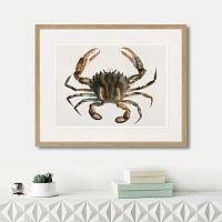 картина: marine life №2, 1725г. в Москве