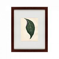 картина: the leaf, 1871 в Москве