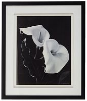 постер с паспарту в раме elegance calla в Москве