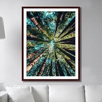 картина: deep forest в Москве