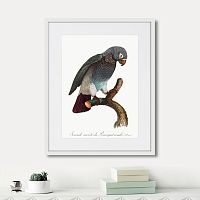 картина: beautiful parrots №6, 1872г. в Москве