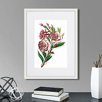 картина: caribian flora pink gardenia flower branch, 1740г. в Москве