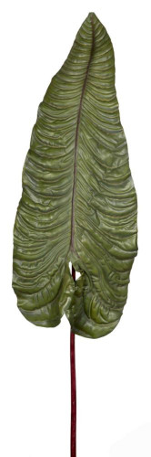 декор alocasia в Москве