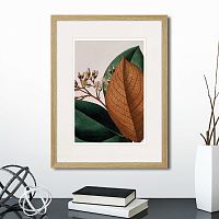картина: exotic plants of the world №14, 1815г. в Москве