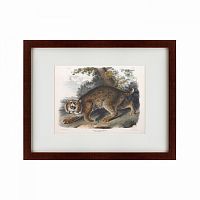 картина: bobcat, 1839 в Москве