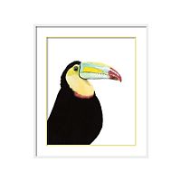 постер toucan разноцветный в Москве