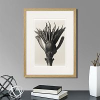 картина: botanical philosophy of forms №8, 1912г. в Москве