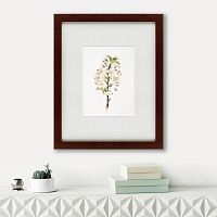 картина: pear tree flowers (pyrus calleryana), 1830 в Москве