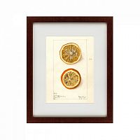 картина: watercolor collection, drawing №5, 1910 в Москве