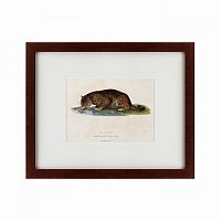 картина: a panther drinking, 1830 в Москве