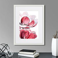 картина: himalaya plants pink-flower on white iii, 1869г. в Москве