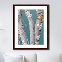 картина: trees on the galapagos islands, ecuador no1 в Москве