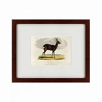 картина: a roebuck, 1830 в Москве