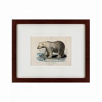 картина: white polar bear on an ice, 1830 в Москве