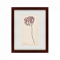 картина: tulp №2, 1815 в Москве