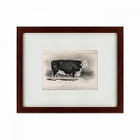 картина: a hereford bull, 1849 в Москве