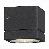 уличный настенный светодиодный светильник st luce coctobus sl563.401.01 в Москве
