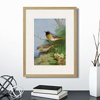 картина: pair of redstarts, 1923г. в Москве