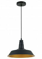 подвесной светильник odeon light kasl 3378/1 в Москве