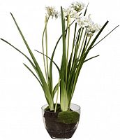 декор allium в Москве