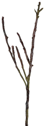 декор dry branches в Москве