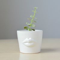 набор для выращивания eco мини-кашпо «губы» в Москве