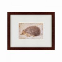 картина: a hedgehog, 1584 в Москве