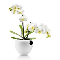 горшок для орхидеи orchid pot белый в Москве