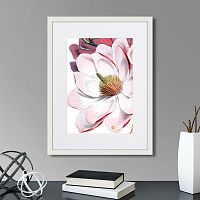 картина: himalaya plants pink-flower on white ii, 1869г. в Москве