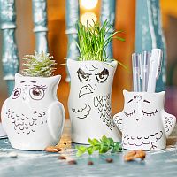 горшки для растений eco совы, 3 шт в Москве