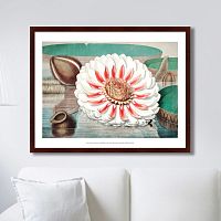 картина: a gigantic water lily in bloom, 1870г. в Москве