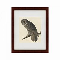 картина: great gray owl, 1834 в Москве