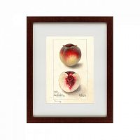 картина: watercolor collection, drawing №4, 1905 в Москве
