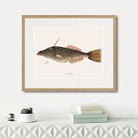 картина: marine life №6, 1725г. в Москве