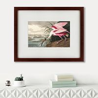картина: roseate spoonbill, 1827 в Москве