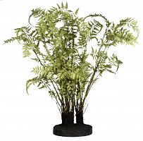 декор ferns в Москве