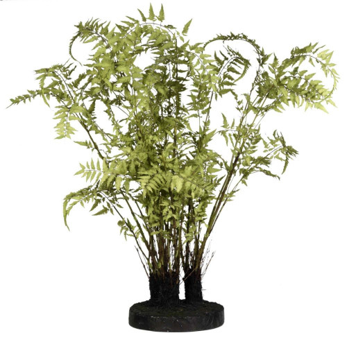 декор ferns в Москве