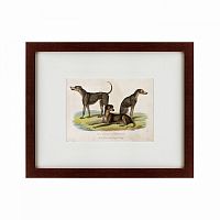картина: three african bloodhounds, 1830 в Москве