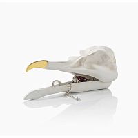 шкатулка для украшений bird skull (белый) в Москве