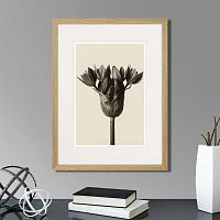 картина: botanical philosophy of forms №5, 1912г. в Москве