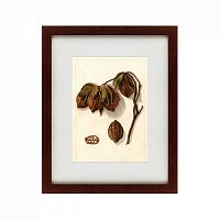 картина: watercolor collection, drawing №3, 1909 в Москве