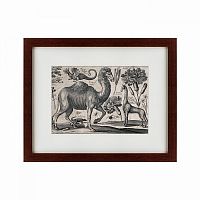 картина: a camel, 1670 в Москве