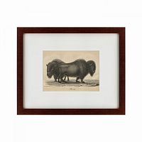 картина: bison, 1828 в Москве