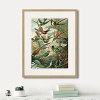картина: art forms of nature №1, 1897г. в Москве