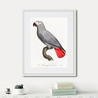 картина: beautiful parrots №2, 1872г. в Москве
